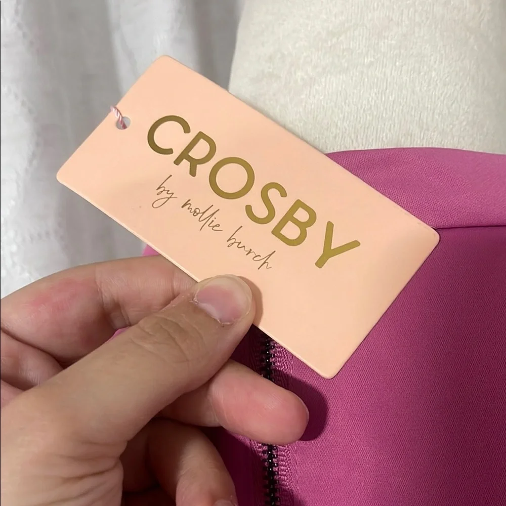 CROSBY by Mollie Burch Vibrant Pink Puff Sleeve Dress size M